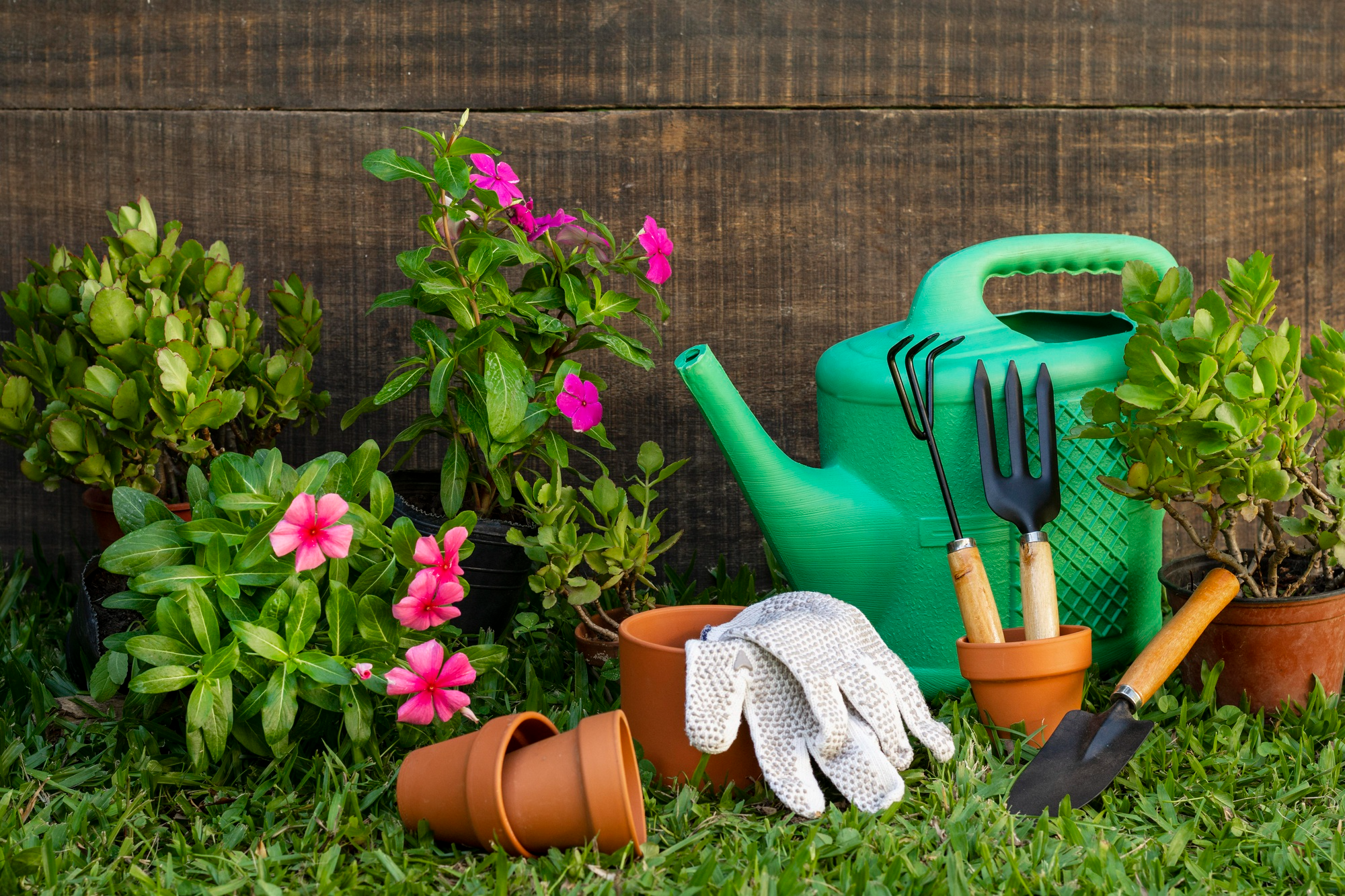 Gardening Flowers and Supplies You Can Consider Buying 